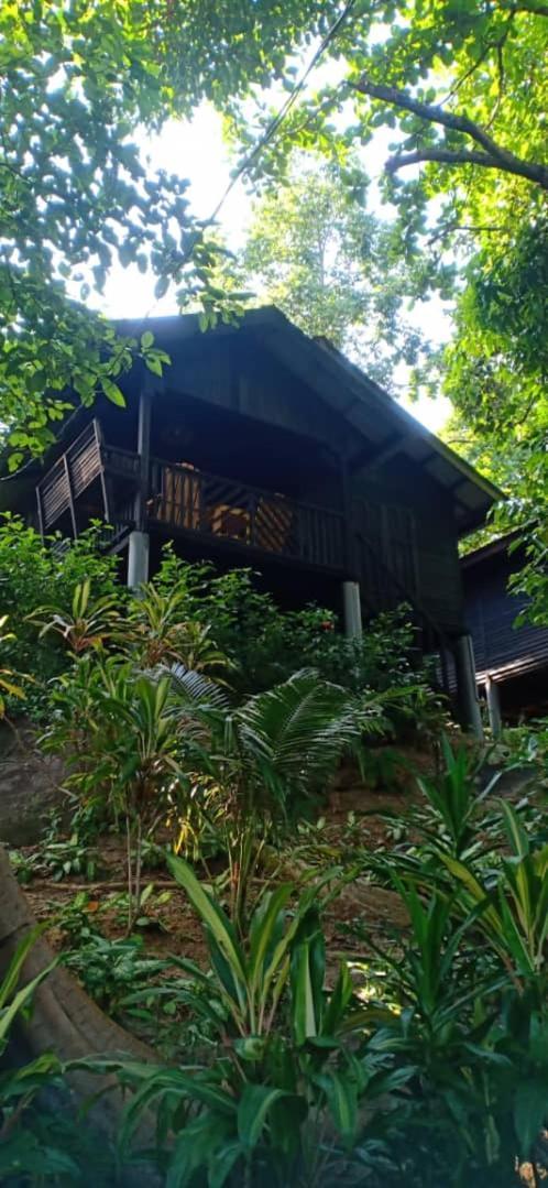 ميلينا بيتش ريزورت Kampung Genting المظهر الخارجي الصورة